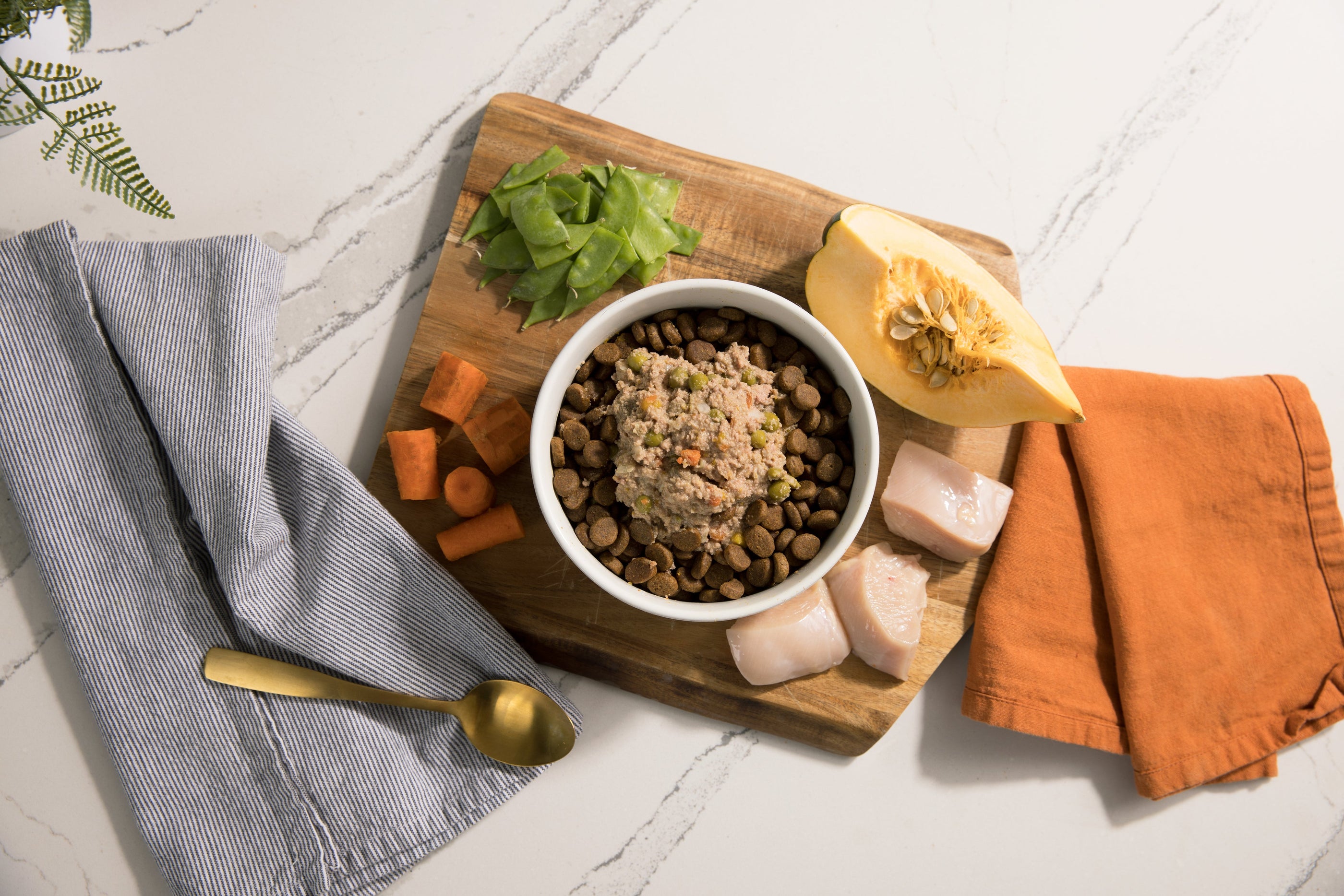 Wet vs Dry Dog Food