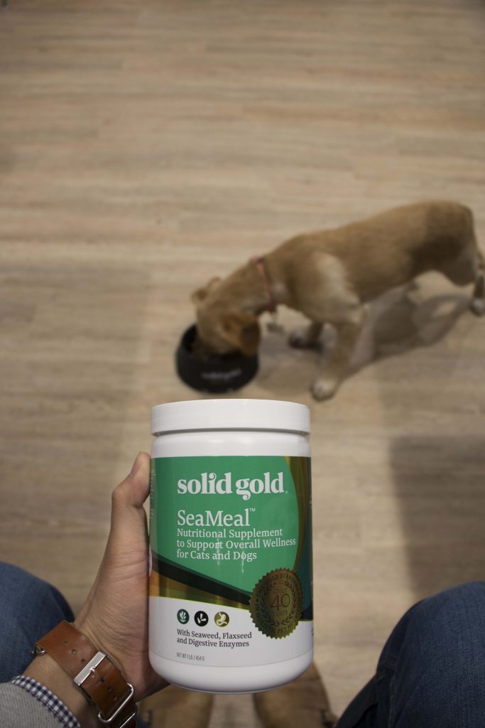 Solid gold sales seameal for dogs