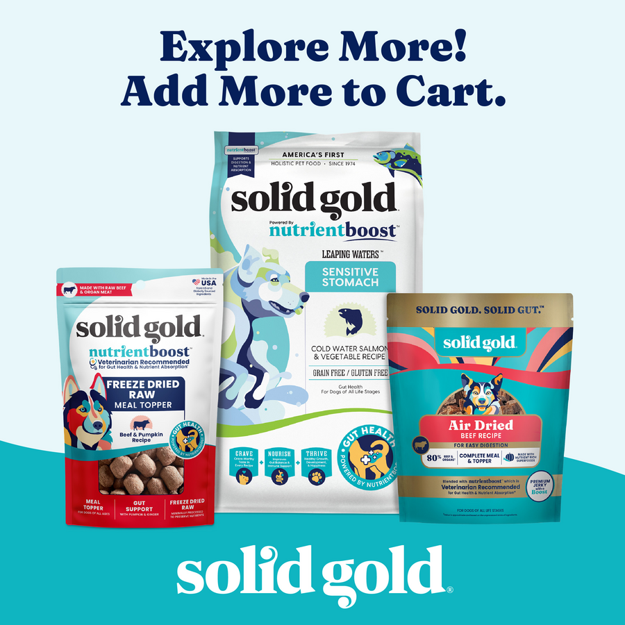 Allergy Support Chews for Dogs