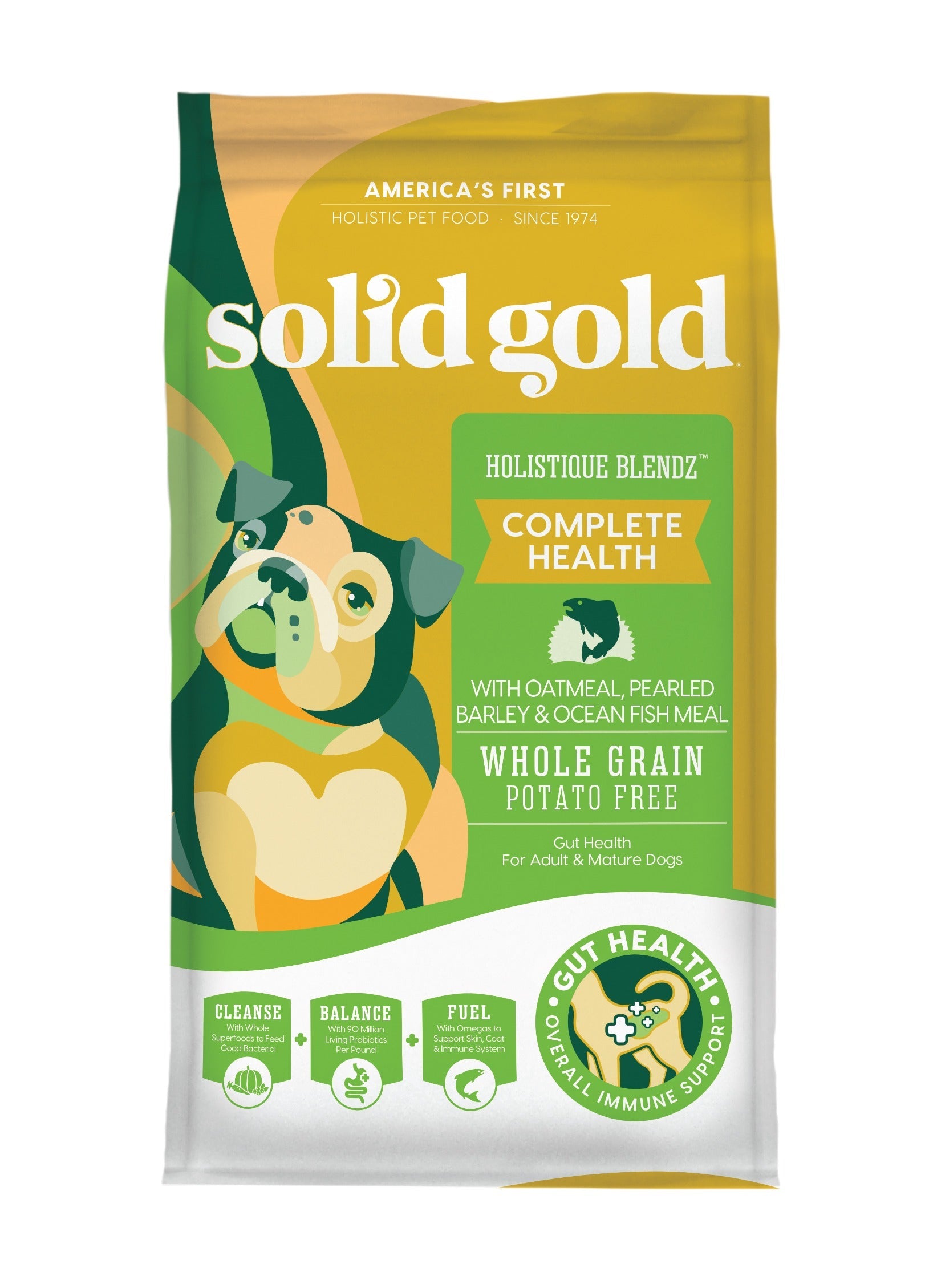 Holistique Blendz™ Complete Health Dry Food for Adult & Mature Dogs