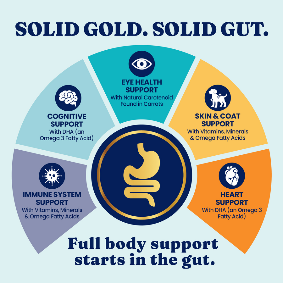 Mighty Mini™ Variety Wet Food for Toy & Small Dogs | Solid Gold Pet
