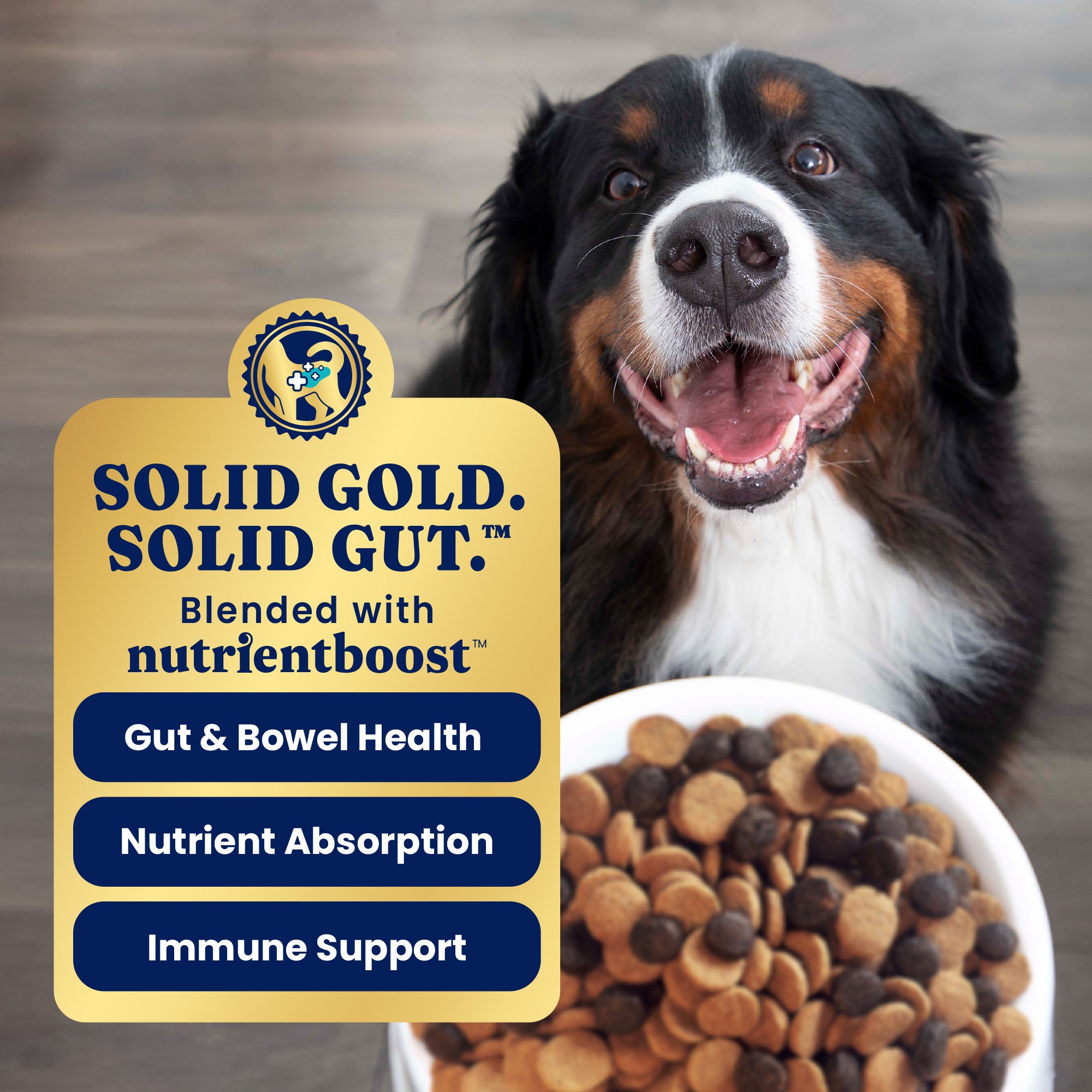 A large breed dog sits happily beside a bowl of dry dog food, with text highlighting health benefits.