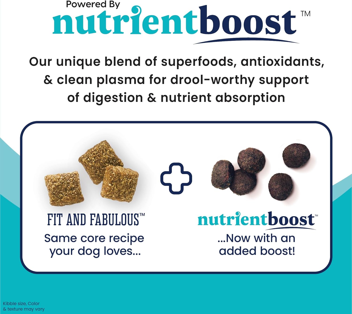 Nutrientboost™ Fit and Fabulous™ Chicken Dry Food for Adult Dogs