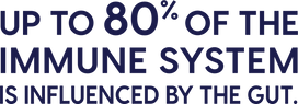 Up to 80% of the immune system is influenced by the gut