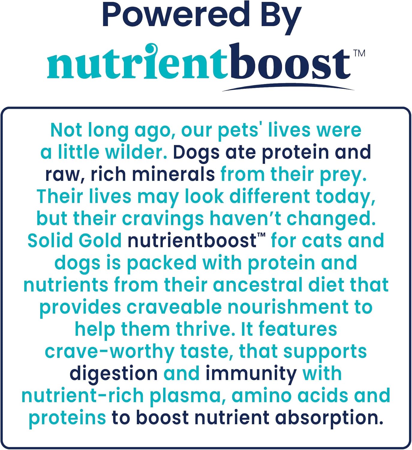 Nutrientboost™ Hund-N-Flocken™ Lamb Wet Food for Adult Dogs