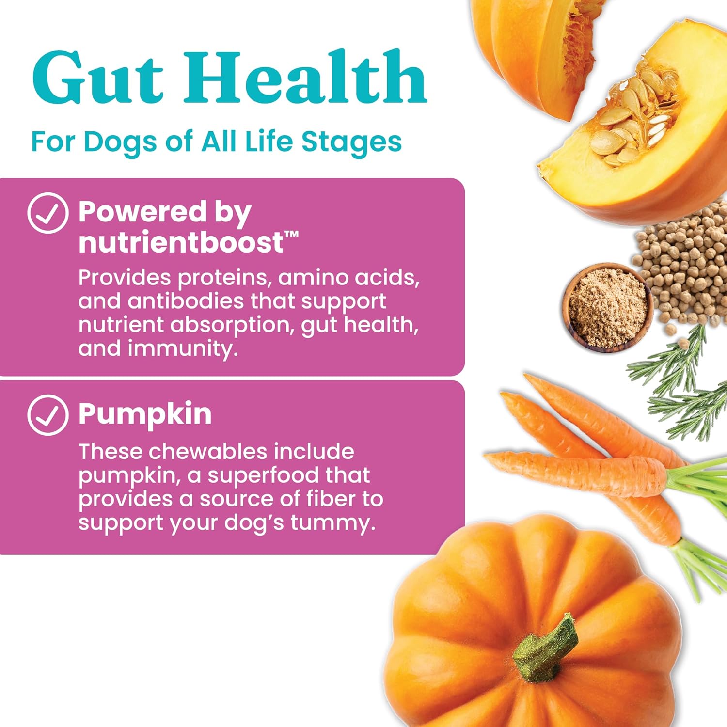 Nutrientboost™ Functional Gut Health Treats for Dogs