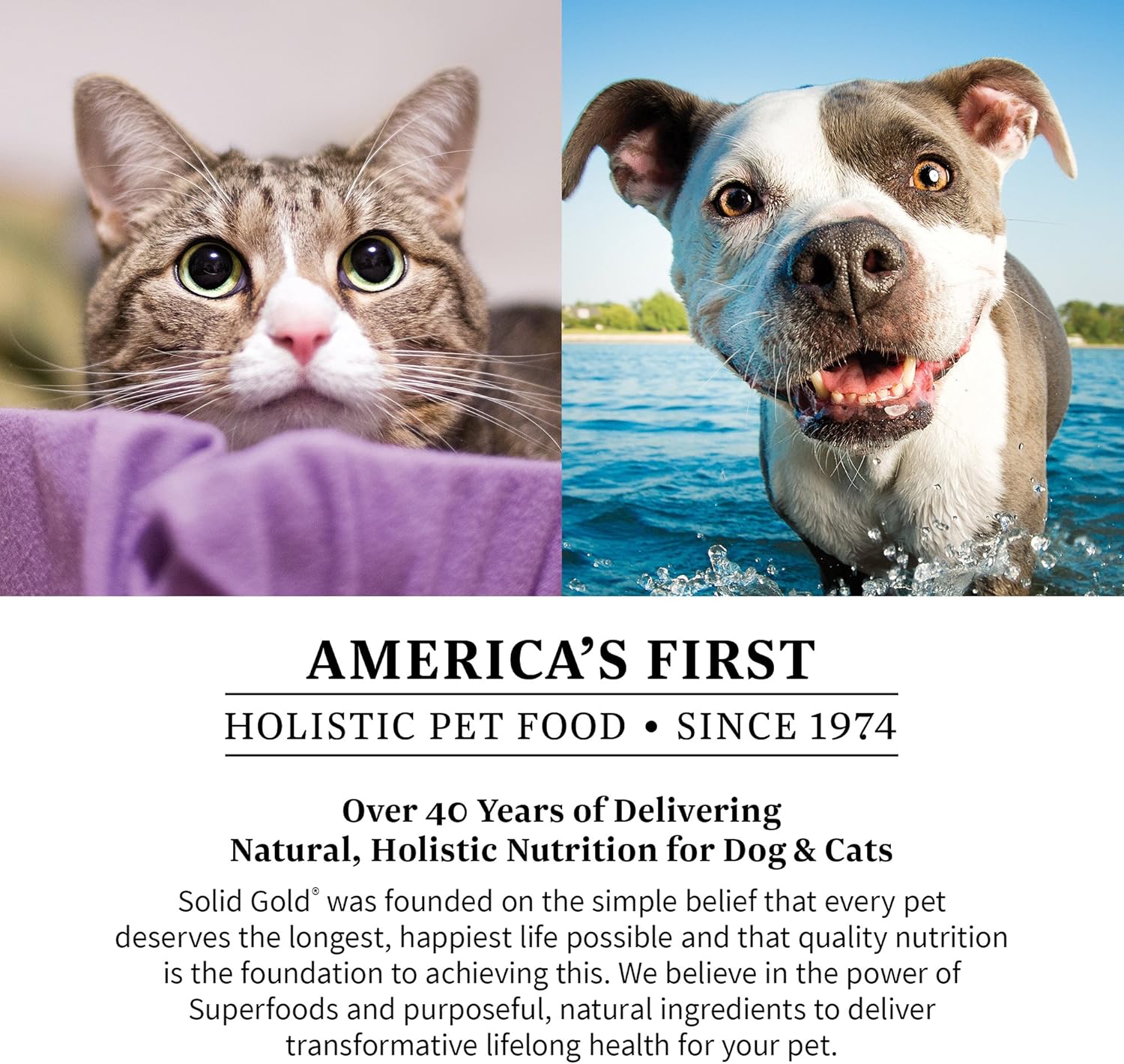 Berry Balance™ Urinary Tract Health Powder for Dogs & Cats