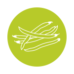 Green Beans