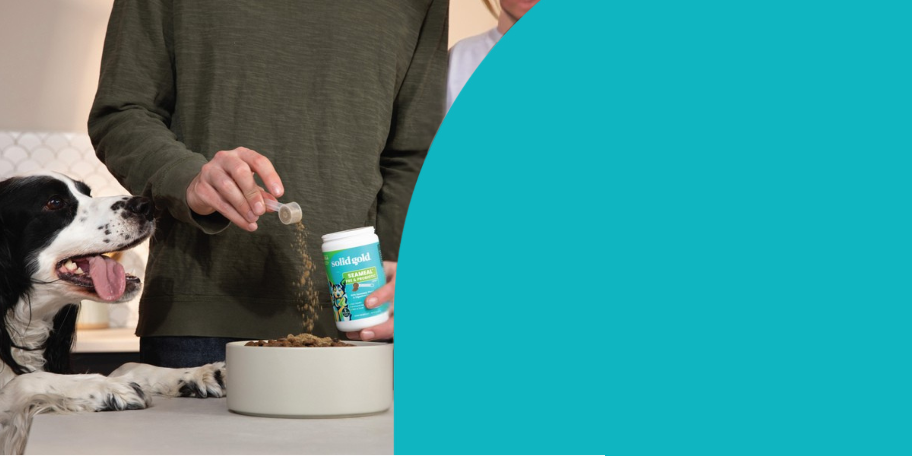 Person adding a supplement to a dog's food with a teal overlay