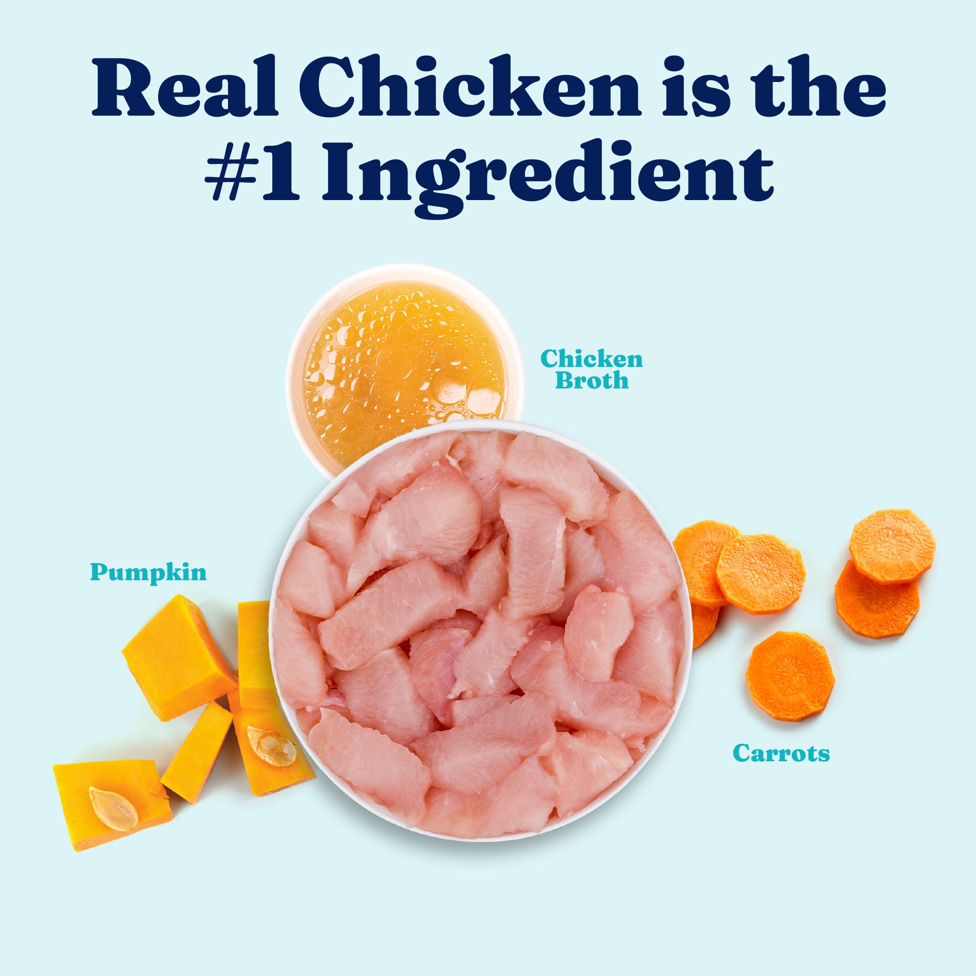 Bowl of shredded chicken, chicken broth, pumpkin pieces, and sliced carrots on a light blue background.