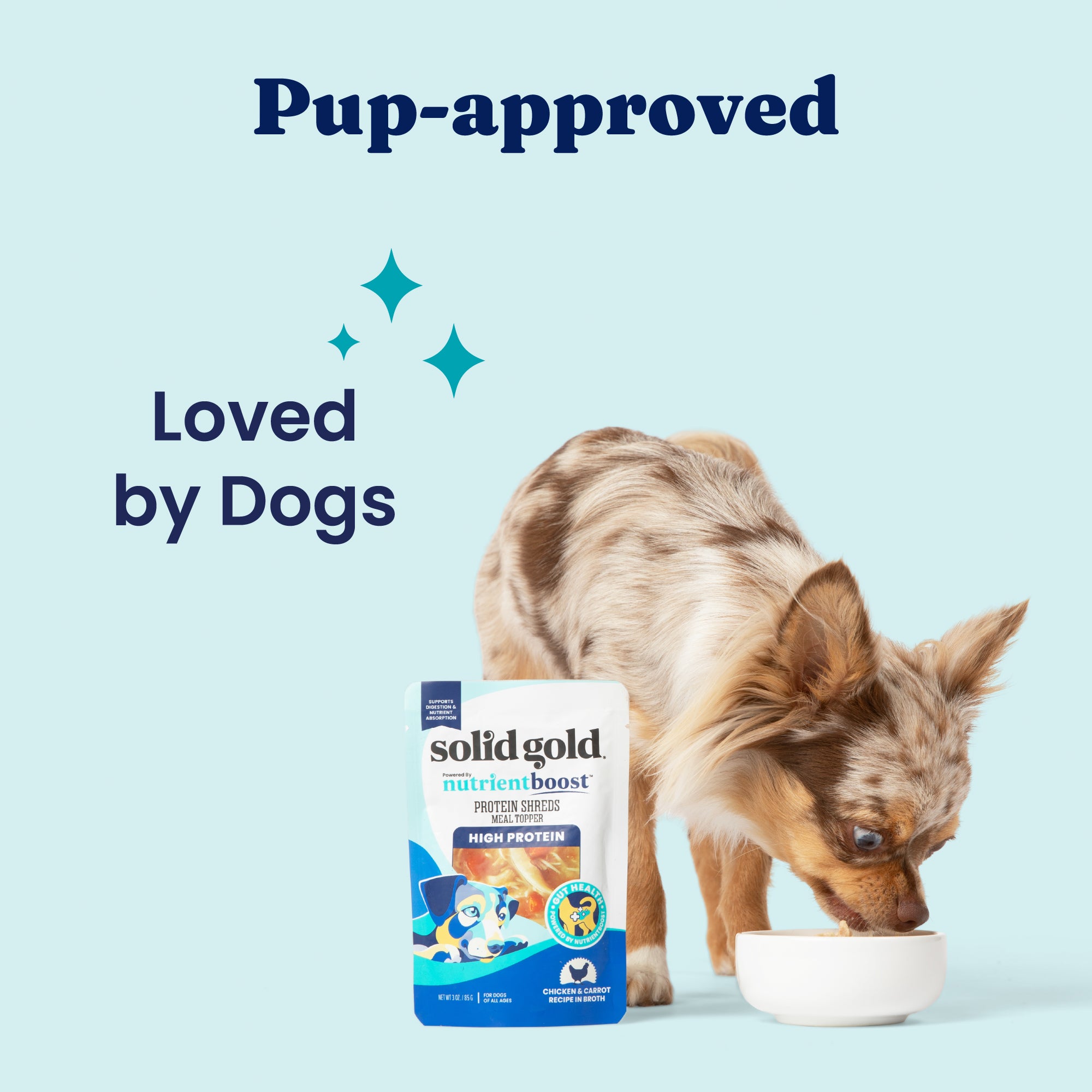 Small dog eating from a bowl next to a pouch of solid gold nutrientboost protein shreds meal topper.