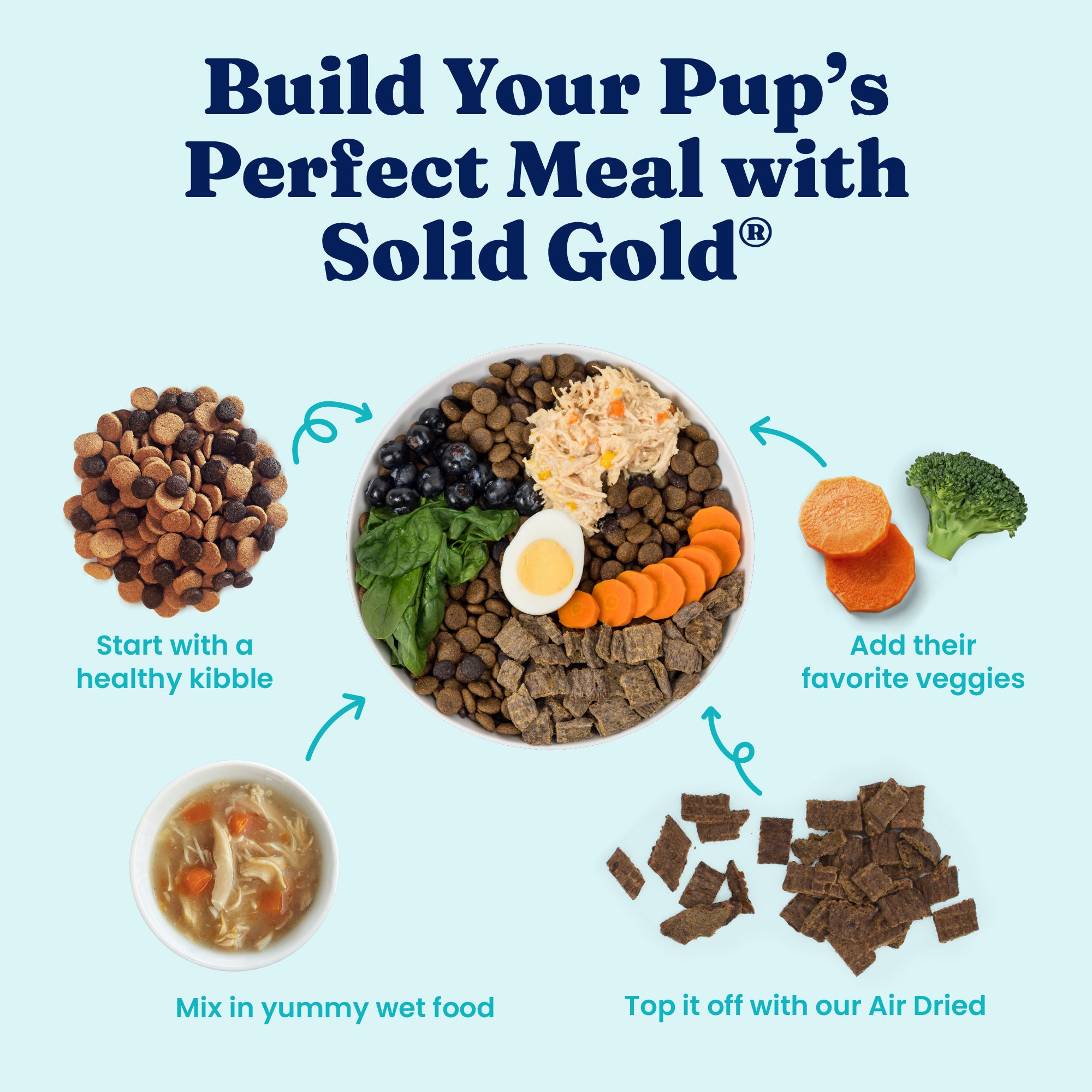 Bowl of dog food with kibble, vegetables, wet food, and protein topper, illustrating meal preparation steps.