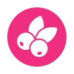 Cranberries