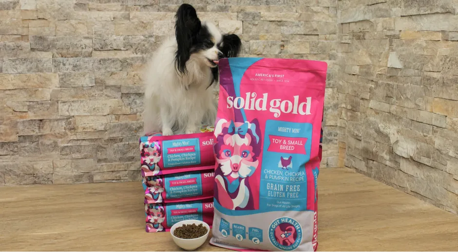 Small dog with Solid Gold toy and small breed dog food.