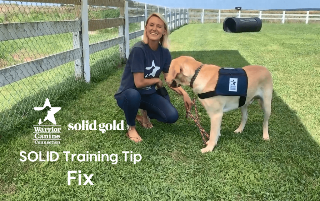 Training Tip: The "Fix" Command