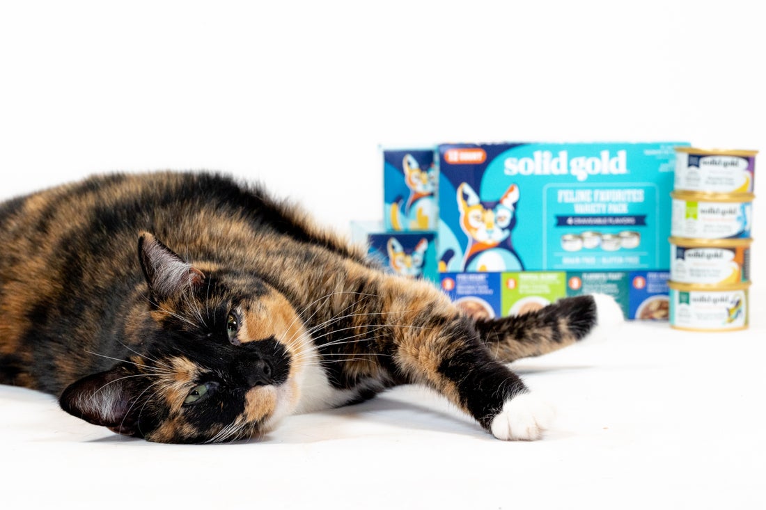 High-Protein Cat Food