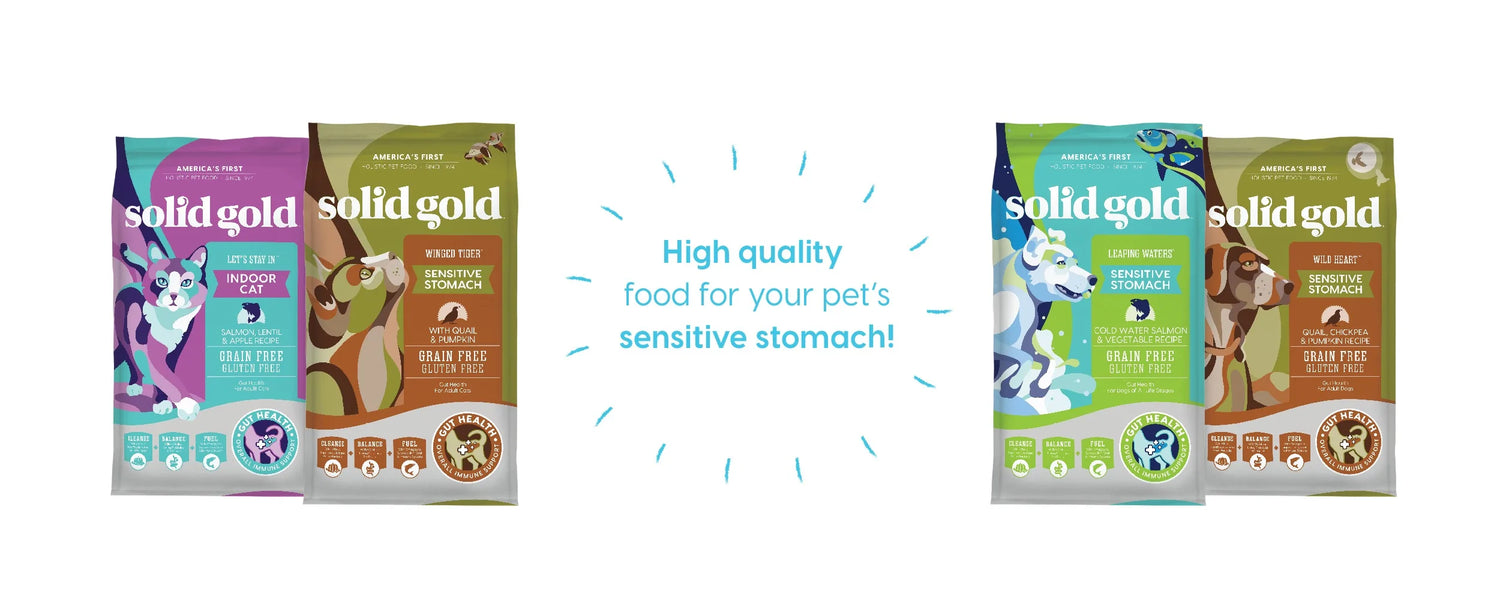 Does your pet have a sensitive stomach? Here’s how to tell and what to do about it!