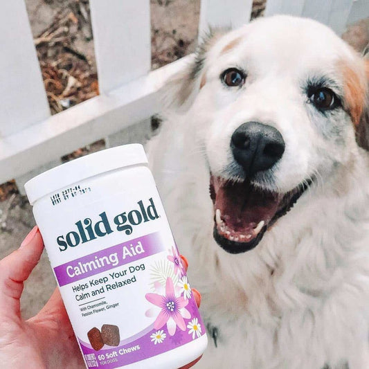 Solid Gold launches 5 new dog supplements