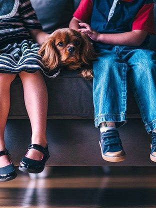 This Study Says Your Siblings Like Your Pet More Than You