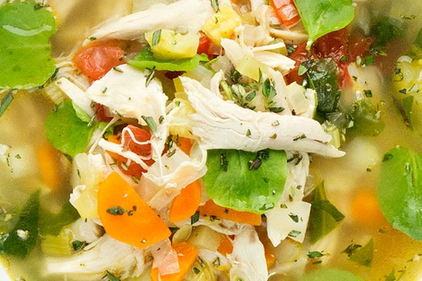 Roasted Chicken and Vegetables Stew with Fresh Herbs: A Recipe Inspired by Solid Gold