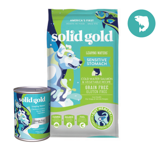 Solid gold dog food near best sale me