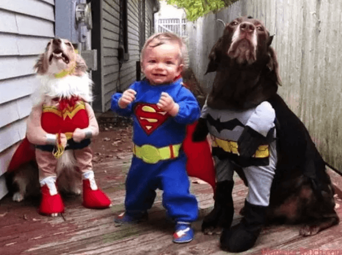 This Year's Best Pet Halloween Costumes That Will Have Your Neighbors Howling