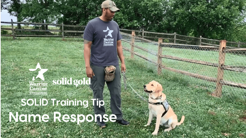 Training Tip: Name Response