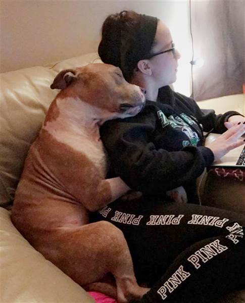 Watch This Grateful Dog Snuggle His New Mom After Being Adopted