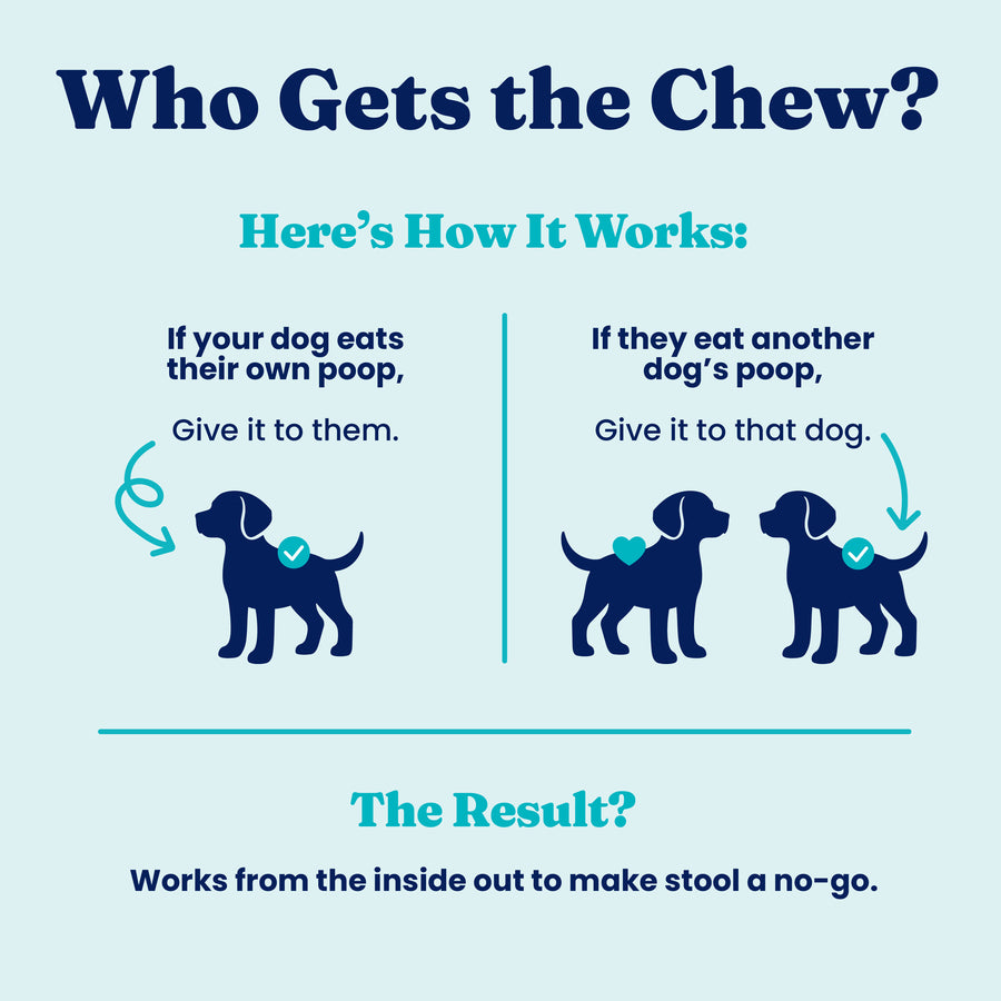 Illustration explaining how to use a stool eating deterrent for dogs, with two dog icons and instructions.