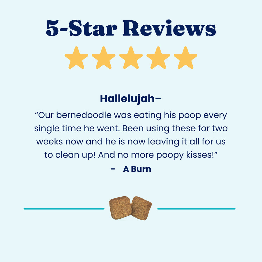 Five-star review highlighting effectiveness of stool eating deterrent soft chews for dogs, with a testimonial from a customer