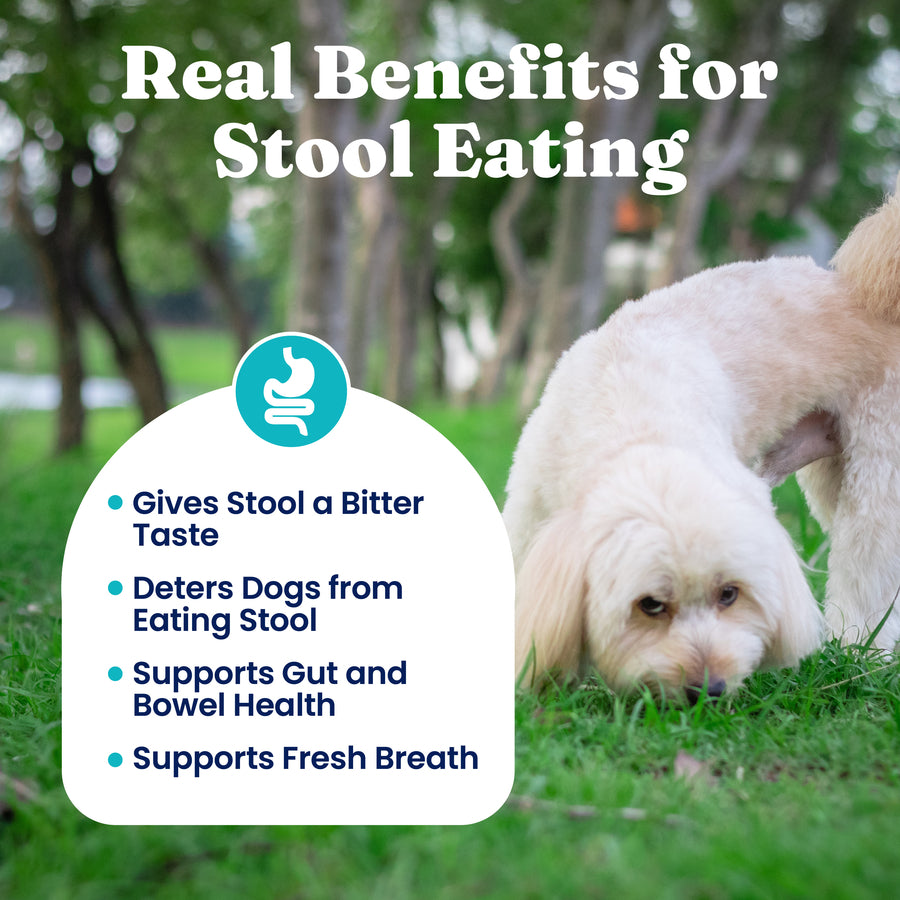 Two dogs in a grassy area, one sniffing the ground while the other looks on. Text highlights benefits of a stool eating deter