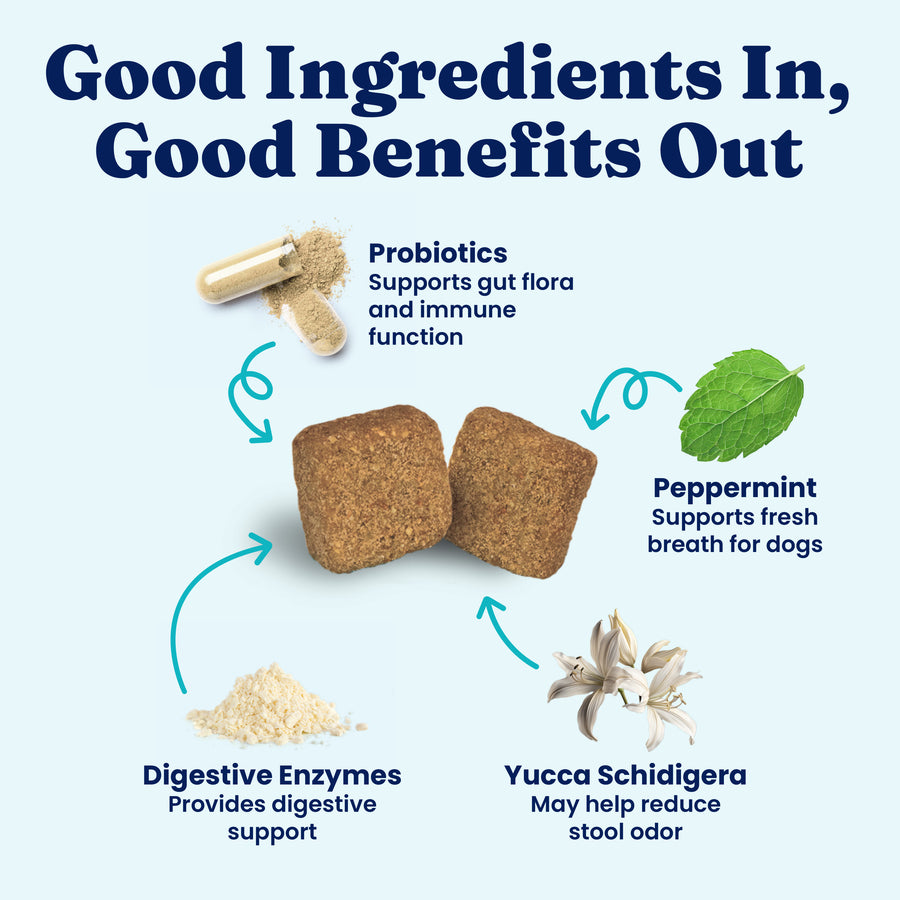 Soft chews with probiotics, peppermint, digestive enzymes, and yucca schidigera for dogs' digestive health and fresh breath.