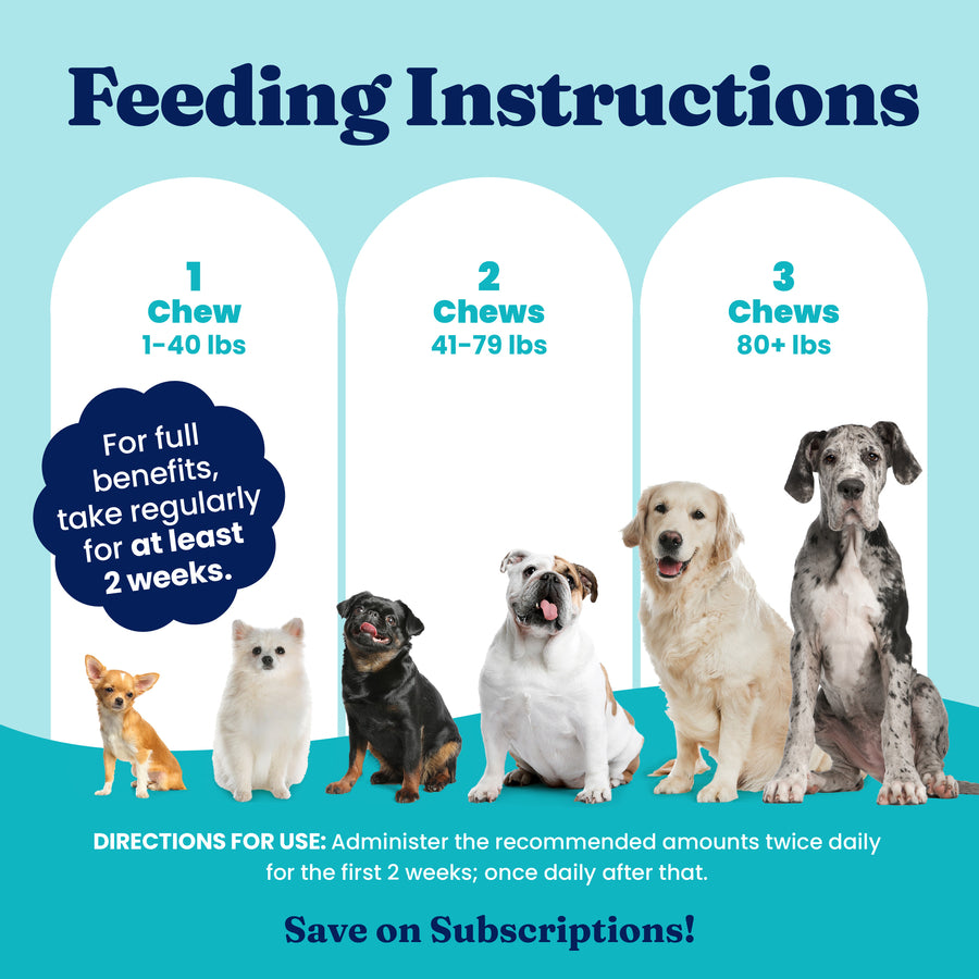 Feeding instructions for stool eating deterrent chews based on dog weight categories and duration of use.