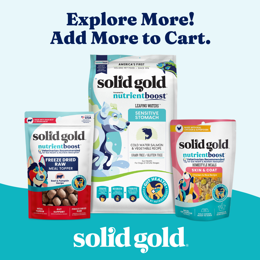 Three pet food products from Solid Gold, featuring various recipes and packaging designs, displayed on a colorful background.