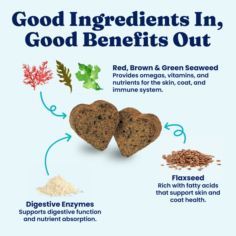 Two heart-shaped dog chews with text highlighting ingredients like seaweed, flaxseed, and digestive enzymes.