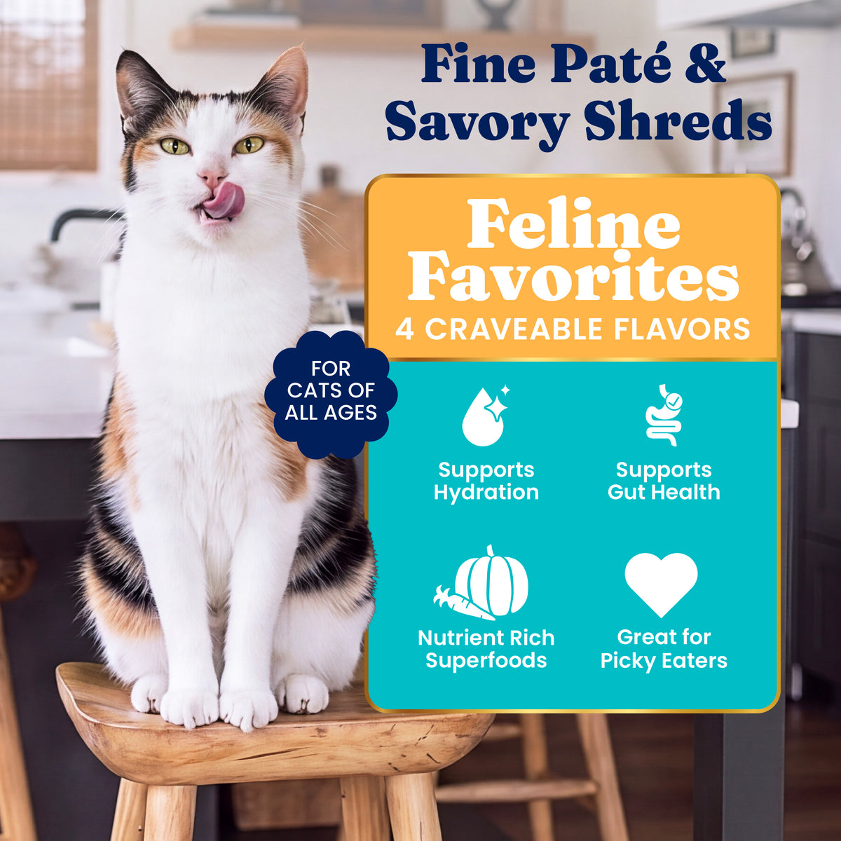 Feline Favorites Wet Food Variety Pack for Cats
