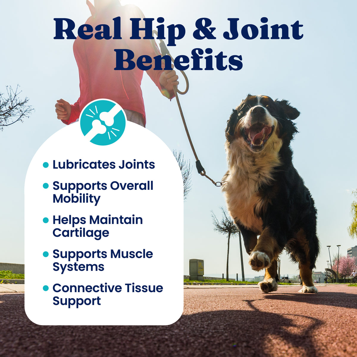 A person walks a dog on a path, with text highlighting joint support benefits for dogs.