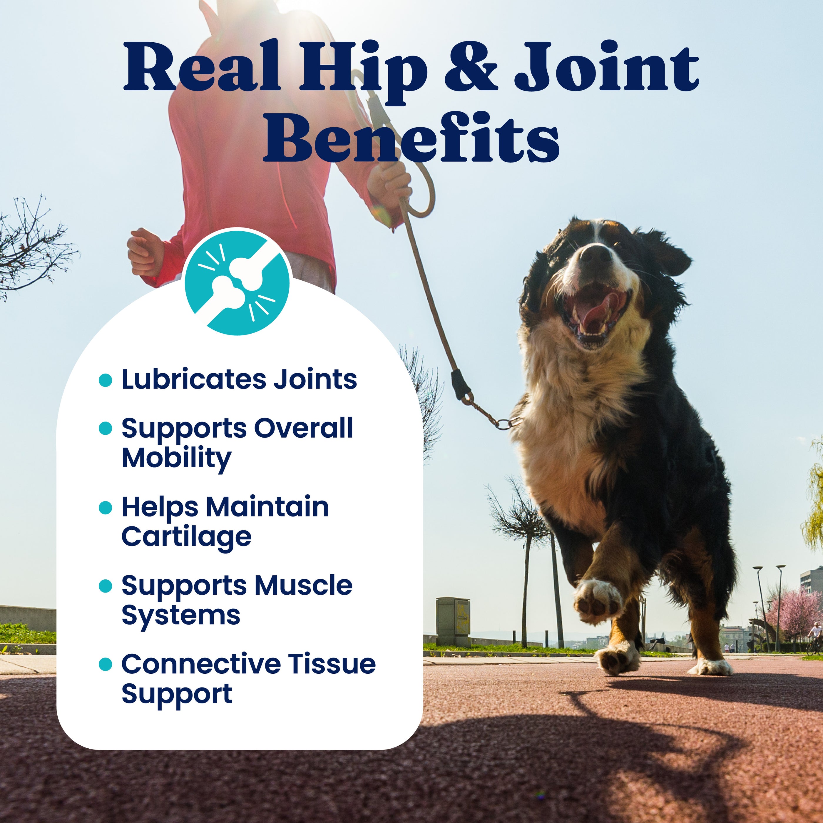 A person walks a dog on a path, with text highlighting joint support benefits for dogs.