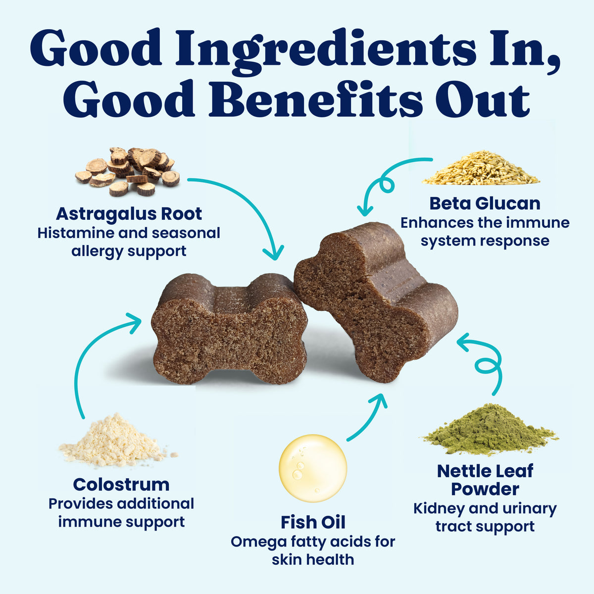 Allergy Support Chews for Dogs
