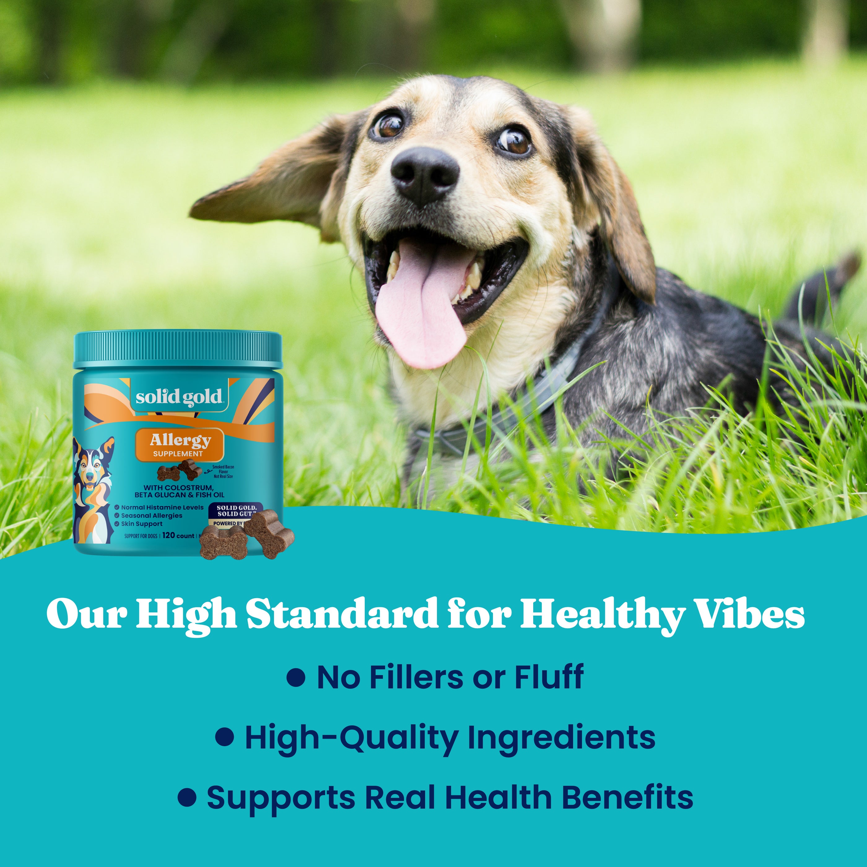 Dog with a happy expression sitting on grass next to a container of Allergy Support Chews for Dogs.
