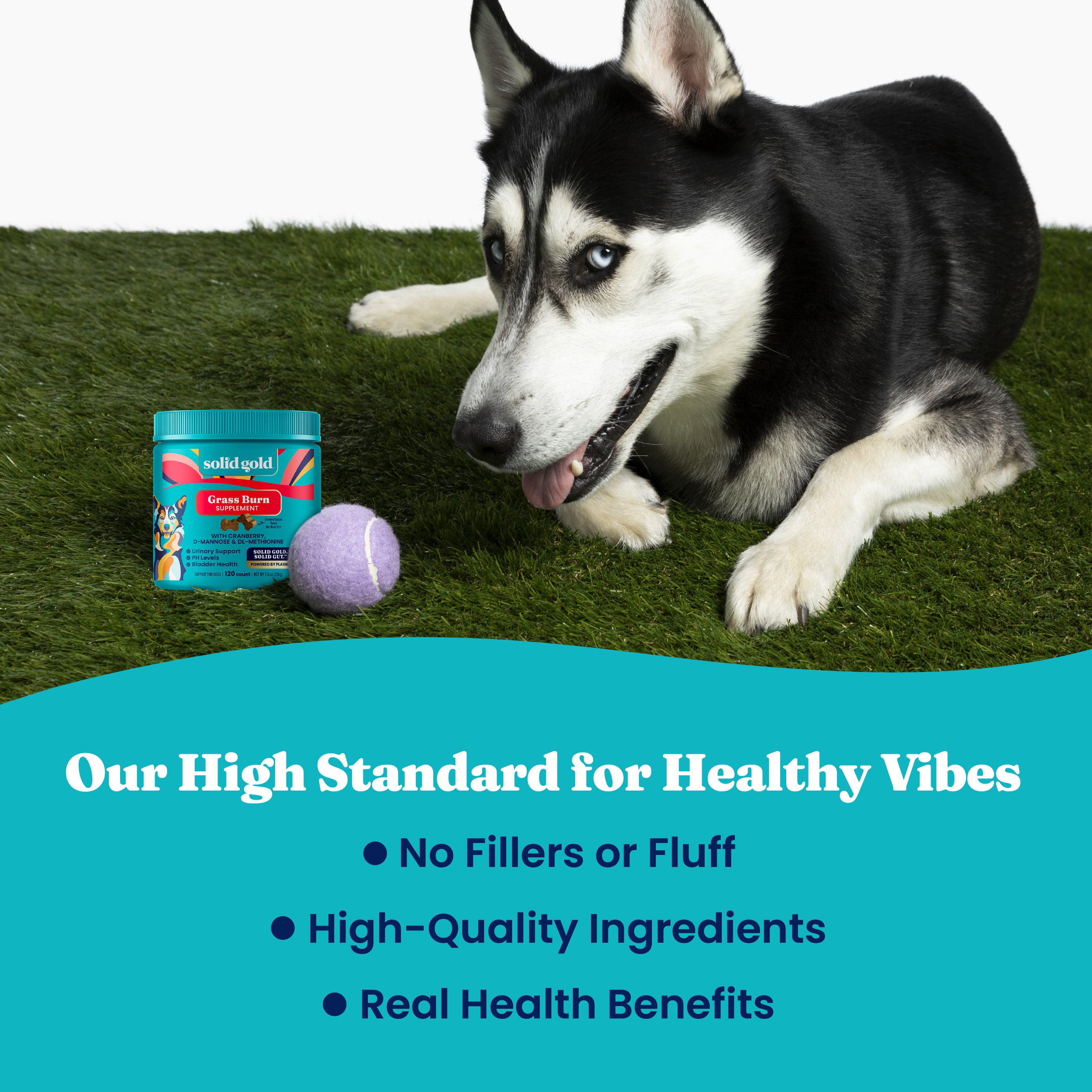 Grass Guardian™ Digestive Health Chews for Dogs