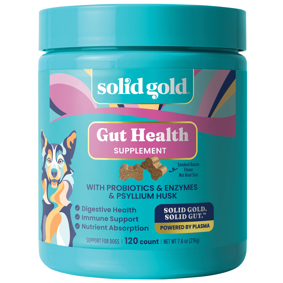 Turquoise container of Solid Gold Gut Health supplement for dogs, featuring 120 chews with probiotics and enzymes.