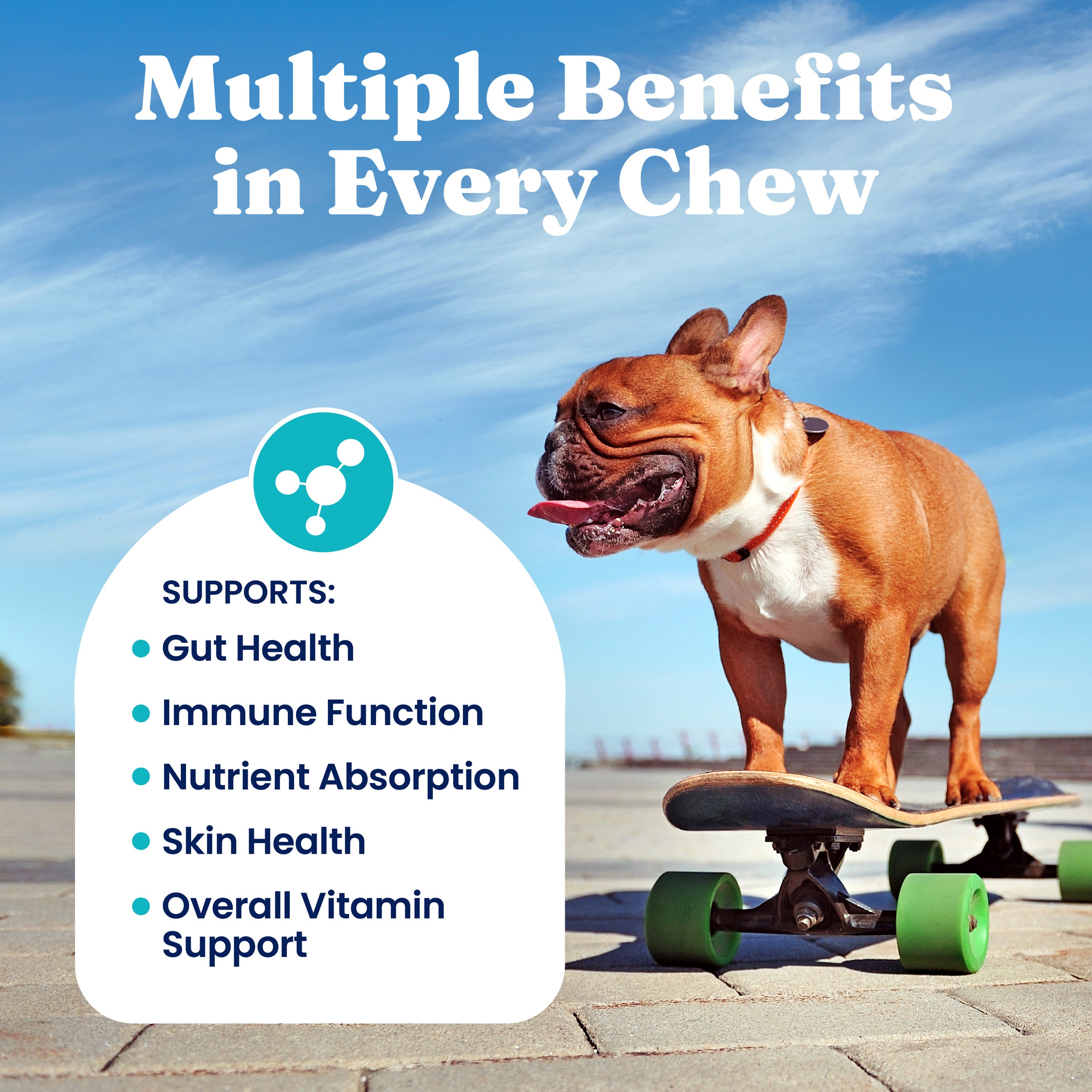 Dog riding a skateboard outdoors with a blue sky in the background, showcasing a playful and active demeanor.