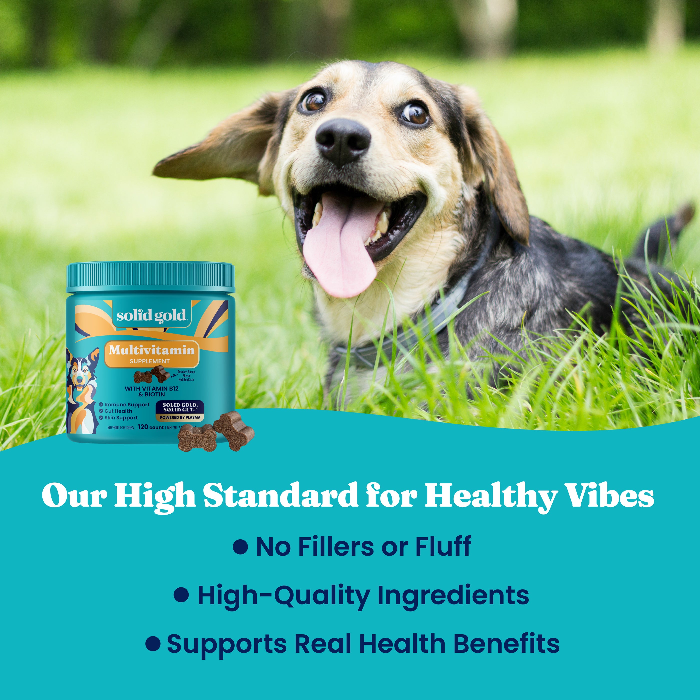 A happy dog sits on grass next to a container of multivitamin chews for dogs, with text highlighting product benefits.