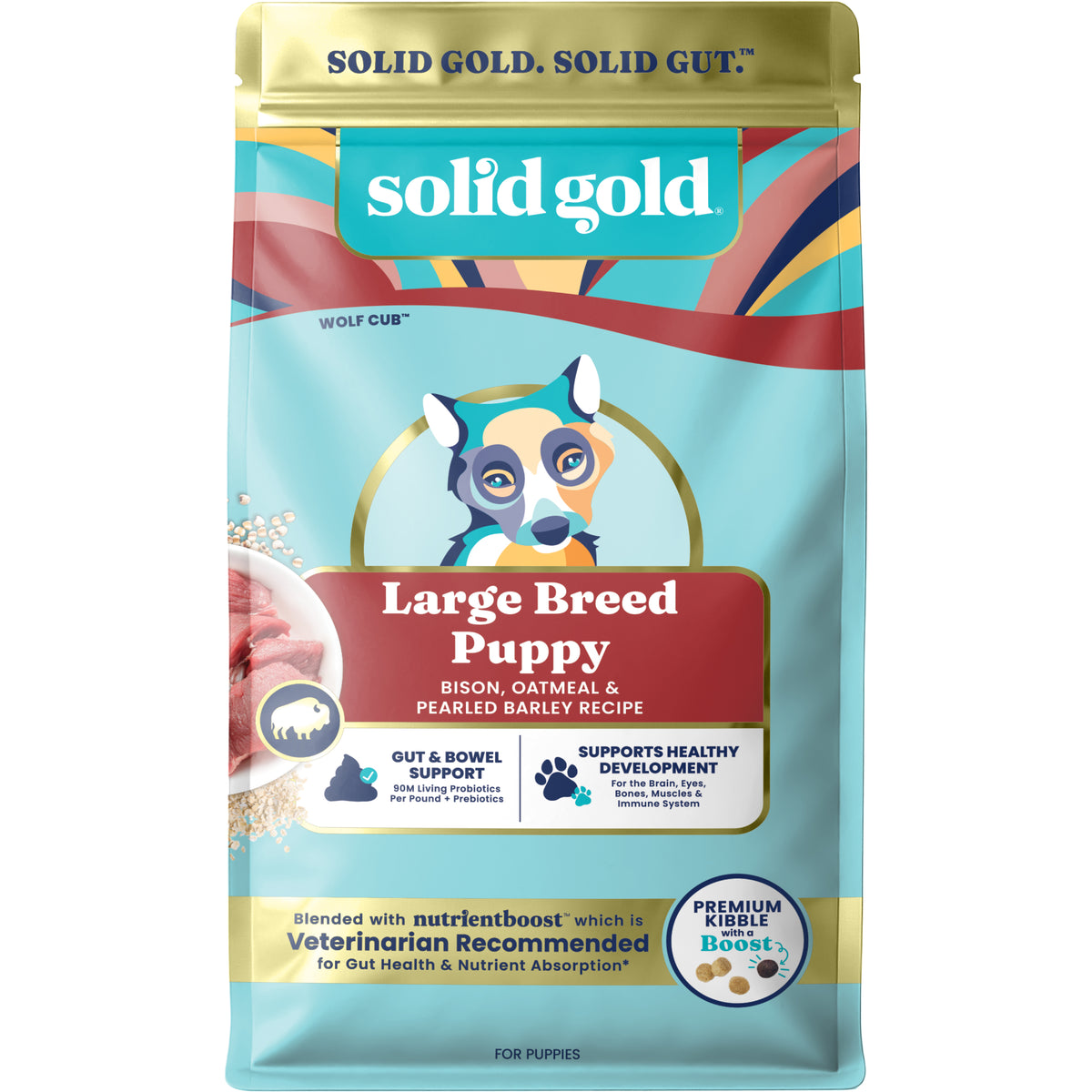 Dry dog food bag featuring a colorful design, labeled "Large Breed Puppy" with bison, oatmeal, and pearled barley recipe.