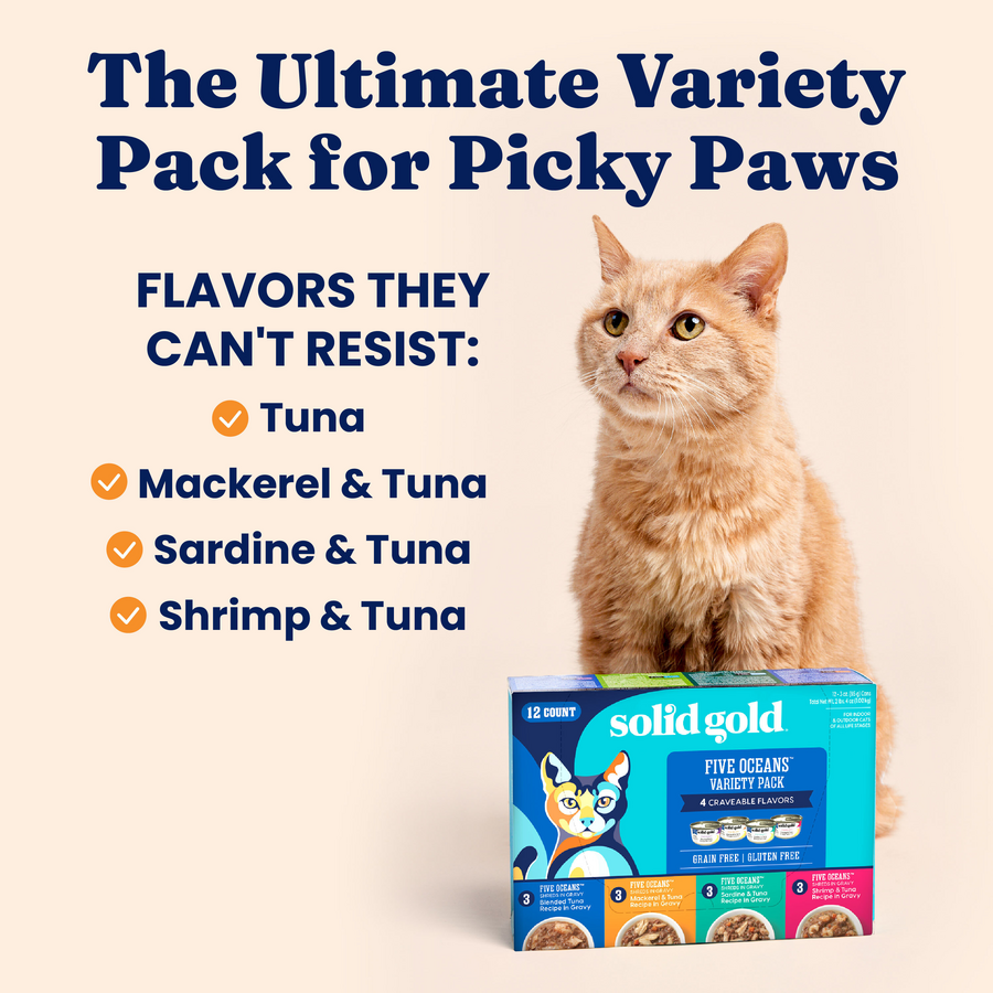 Orange cat sitting next to a colorful box of Five Oceans wet food variety pack for cats.