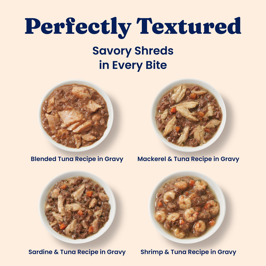 Four bowls of wet cat food featuring different recipes: blended tuna, mackerel & tuna, sardine & tuna, and shrimp & tuna in g