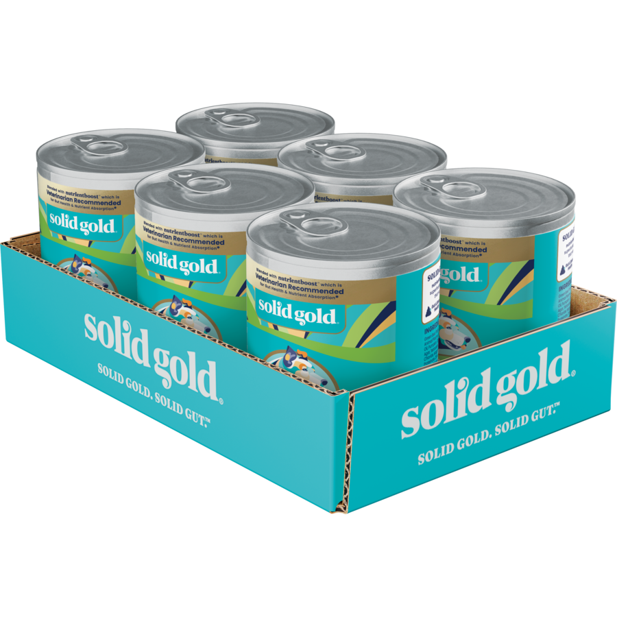 Eight cans of wet dog food in a cardboard display box, labeled "Solid Gold" for sensitive stomachs.