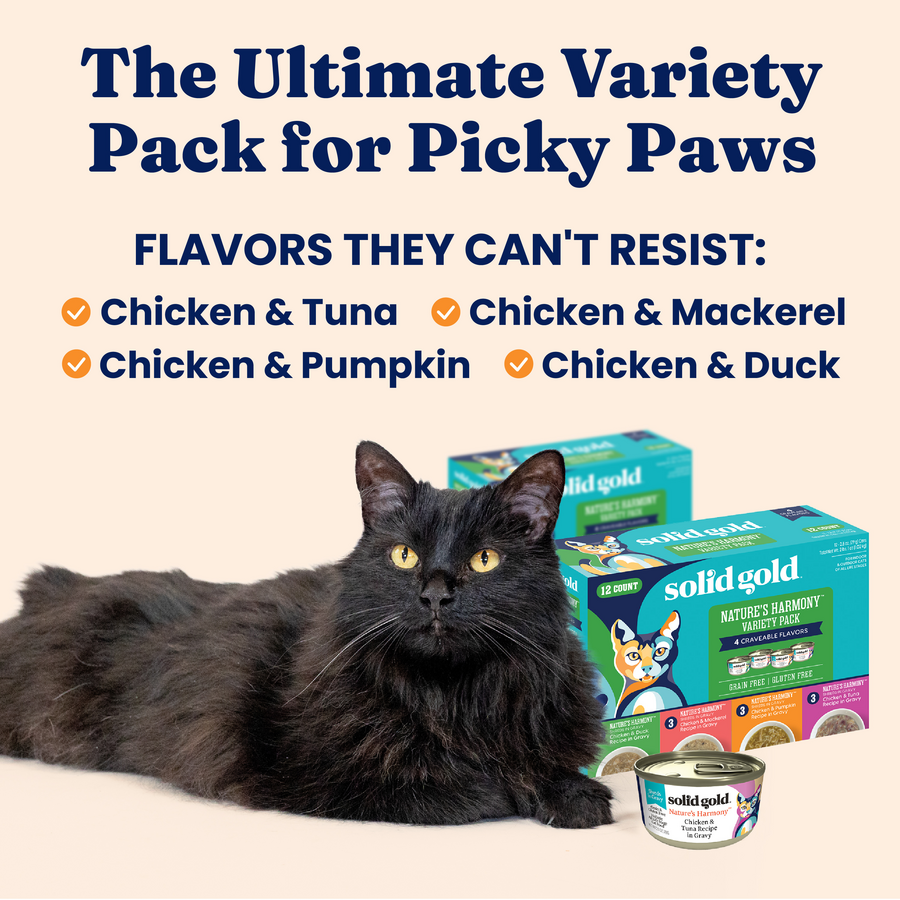 Black cat lying next to a variety pack of wet cat food featuring different flavors and packaging.
