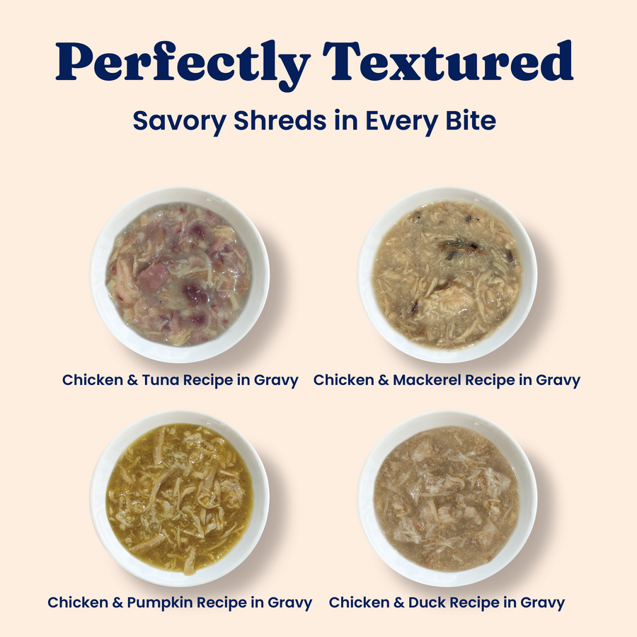 sensitive stomach cat food wet Nature's Harmony Canned Cat Food Variety Pack - Real Chicken Wet Food Shreds - Grain & Gluten Free, Supports Sensitive Stomach